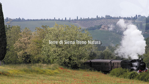 2024 W treno natura siena montepulciano 1/06 IN29